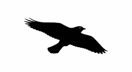 Obraz premium Silhouette of Bird in Flight – Soaring Winged Animal Vector on White Background