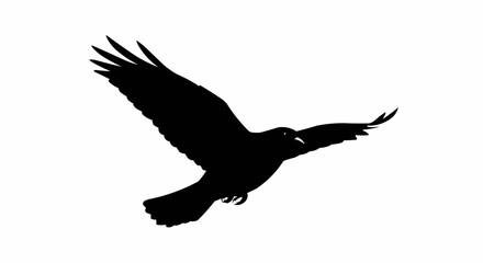 Silhouette of Bird in Flight – Soaring Winged Animal Vector on White Background