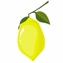 Lemon illustration, lemon with leaf