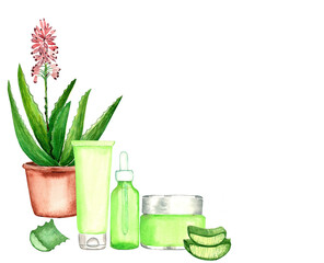 Aloe Vera Plant and Natural Skincare – Organic Beauty Creams, Serums, and Fresh Leaf Gel..