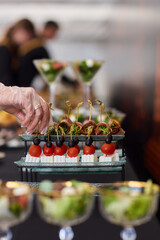 An Elegant Assortment of Gourmet Desserts and Savory Snacks Beautifully Arranged on Table