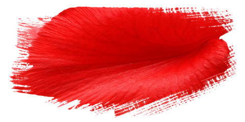 Vivid red petal texture isolated on a transparent background