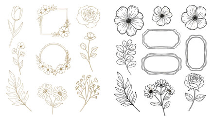 Botanical outlines and frames for designs. Floral elements, line art, elegant, decorative illustration.