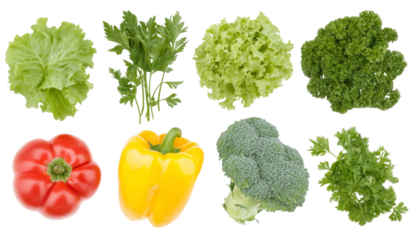 Various fresh vegetables including lettuce parsley broccoli and bell peppers are arranged in rows.
