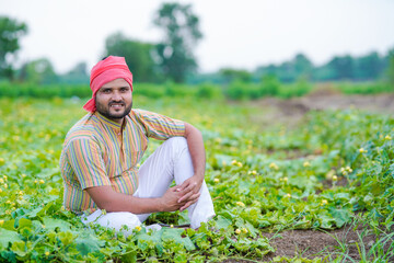 indian farmer sitting green agricultural field