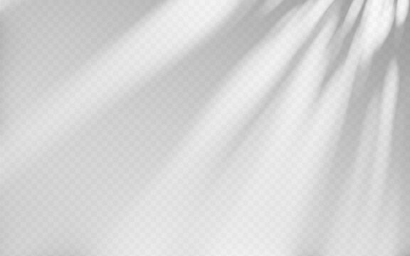 Abstract shadow overlay from tree branch on a transparent background.