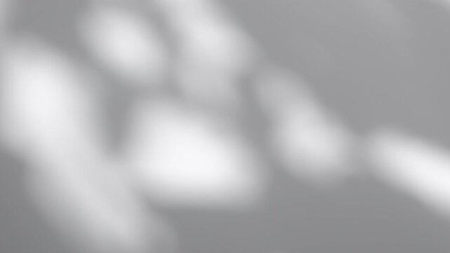 Wall interior background, studio and backdrops show products.with shadow from window color white and grey. background for text insertion and presentation product