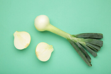 Green onion on mint background. Macro photo