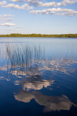 View of the lake and forest. Reflection of clouds in water. Beautiful summer landscape. Lake Russkoe, Novgorod region, Russia. Ecological tourism and outdoor recreation. Summer in the countryside.