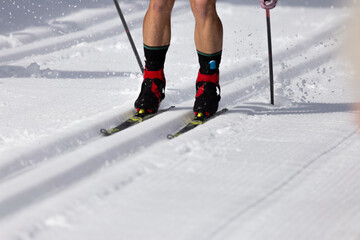 Close-Up of Cross-Country Skier on Groomed Snowy Trail