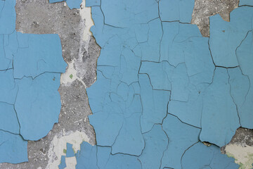 Blue peeling paint on the wall. Old concrete wall with cracked flaking paint. Weathered rough painted surface with patterns of cracks and peeling. High resolution texture for background and design.