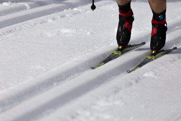Cross-Country Skier Gliding on Groomed Snowy Trails on Winter Day