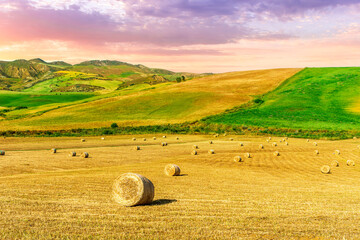 Golden summer season filed in rural meadow during beautiful sunset or sunrise with amazing cloudy...