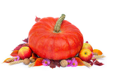 Autumn composition with pumpkin, apples, wheat ears, colorful fall leaves, nuts and flowers on a white background with copy space for text