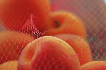 apricots, fruit, mesh bag, close-up, macro, ripe, orange, summer, fresh, healthy, texture, natural,...