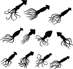 Mysterious Squid Silhouette Underwater Invertebrate Design Marine Life Silhouette Vector