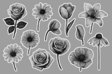 Elegant grayscale flower sticker set with roses daisies tulips and lilies for graphic design or artistic floral
