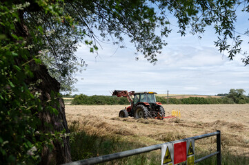 A red tractor collecting freshly cut grass in a rural field on a sunny summer day. High quality...