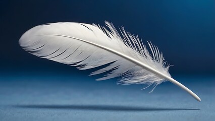 Obraz premium Elegant single white feather on blue background, a symbol of peace and serenity