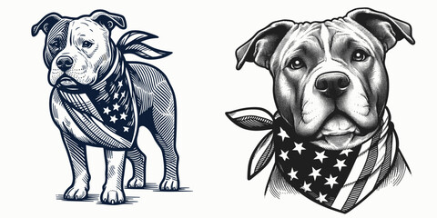 A Pittbulls Dog wear american flag print bandana. Minimal Vintage Grunge Independence Day 4th of July Patriotic Usa America Retro Clipart. Canine in stars and stripes neckerchief national.