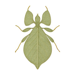 PNG Leaf-shaped insect silhouette design.