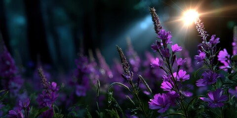 Purple wildflowers bloom under the soft glow of sunlight in a serene forest setting during early morning hours