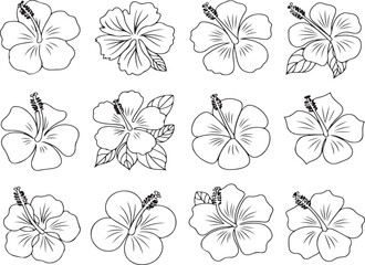 "Set of 12 Hibiscus Flower Line Art Illustrations &ndash; Black and White Outline Collection"