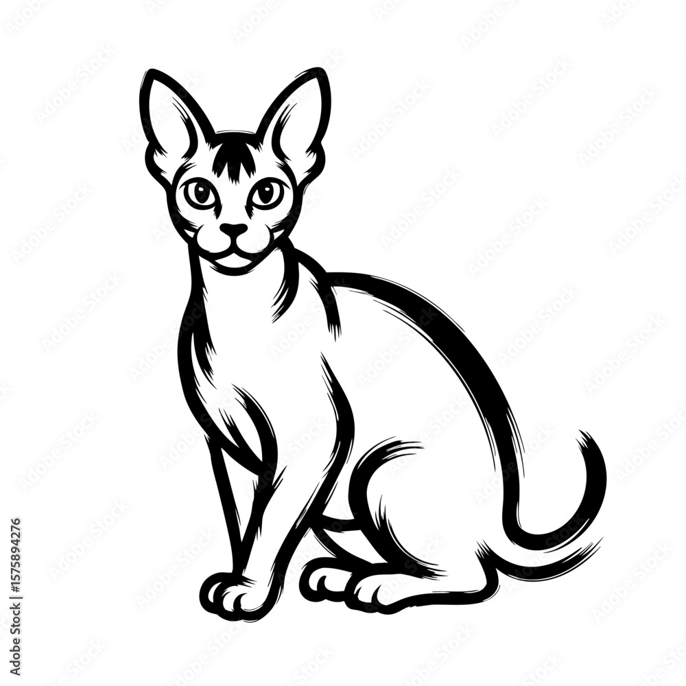 Poster devon rex cat illustration features single devon rex cat in sketched detail, adding depth and charac
