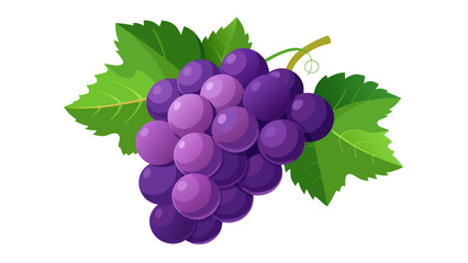 Fototapeta premium A purple grape with a green leaf on top. The grape is surrounded by other purple grapes. The image has a bright and cheerful mood