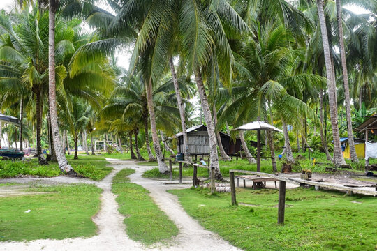 A footpath in a fishing village in East Biak, Papua Indonesia, flanked by soft green grass