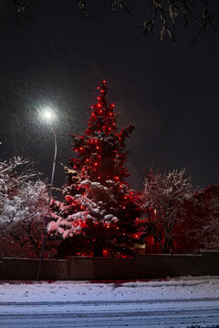 View of a Christmas tree adorned with vibrant red lights stands radiant against the dark night sky, blanketed in snow, creating a festive scene, Reykjav&Atilde;&shy;k, Reykjav&Atilde;&shy;kurborg, Iceland.