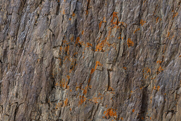 Rugged rock with orange lichen on cliff face in nature