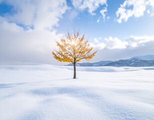 Lone Ginkgo Tree with Golden Leaves Standing in a Serene Snowy Landscape under a Clear Blue Sky

