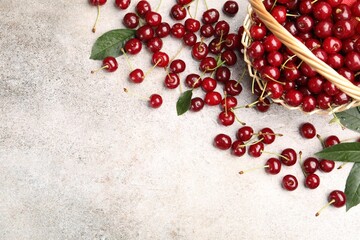Fresh ripe cherries on light table, flat lay. Space for text