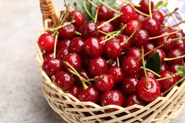 Wet ripe cherries in basket on light table, closeup