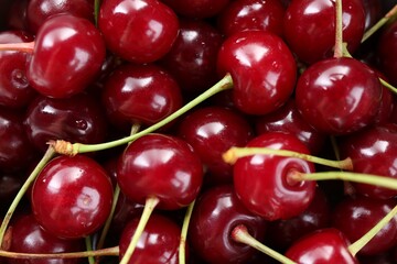 Many fresh ripe cherries as background, closeup