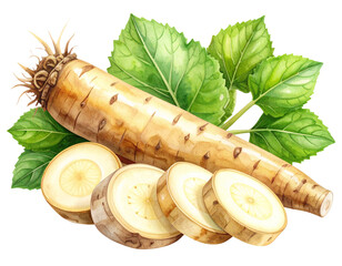  Watercolor Illustration of Burdock Root with Leaves and Cut Pieces – Transparent PNG