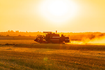 Naklejka premium A combine harvester operates in a golden field as the sun sets on the horizon, harvesting crops with efficiency and power