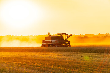 A combine harvester efficiently collects ripe crops during sunset, casting a warm glow over the...