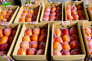Tainan, Taiwan – Jun 30, 2025: Display of fresh mangoes at Yujing Fruit Market. The market is a major hub for Taiwan’s mango harvest, attracting locals and tourists during summer fruit season.