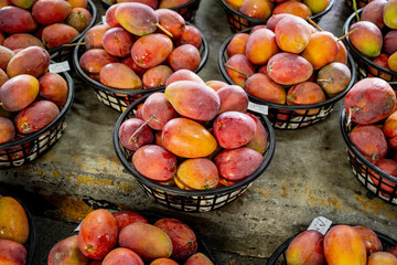 Tainan, Taiwan – Jun 30, 2025: Display of fresh mangoes at Yujing Fruit Market. The market is a...