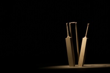 Premium wooden cricket bats positioned alongside classic stumps in a moody studio setting, showcasing professional cricket gear for dedicated players.