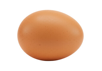 Isolated Single Brown Chicken Egg Organic Source Detailed Rendering