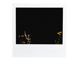 Firefly_Transparent PNG available_Polaroid photo frame with dried wildflowers isolated on tra