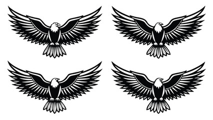 Fototapeta premium Majestic eagles soaring with outstretched wings bird
