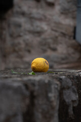 lemon on the old stone in the old town Budva Montenegro