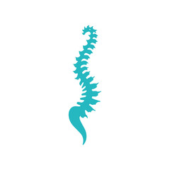 Spine logo vector illustration template design