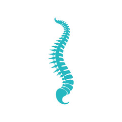 Spine logo vector illustration template design