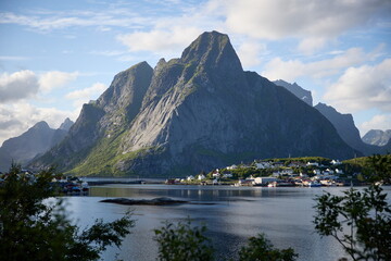 Reine