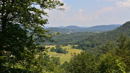 Pf&auml;lzer Wald_048